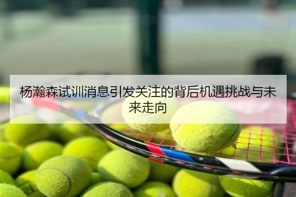 杨瀚森试训消息引发关注的背后机遇挑战与未来走向