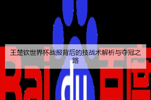 王楚钦世界杯战报背后的技战术解析与夺冠之路
